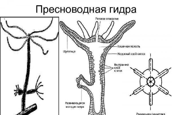 Kraken рынок